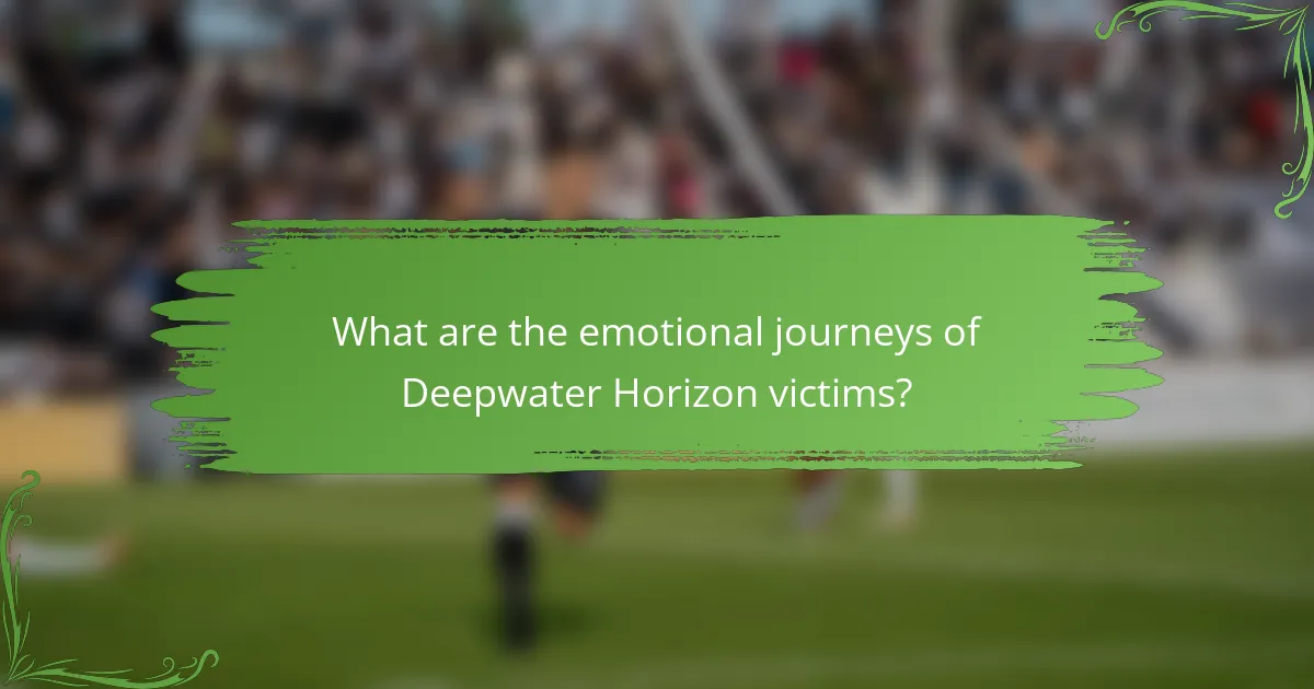 What are the emotional journeys of Deepwater Horizon victims?
