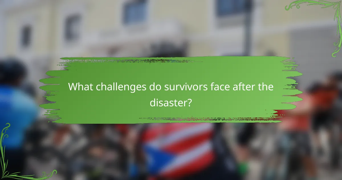 What challenges do survivors face after the disaster?