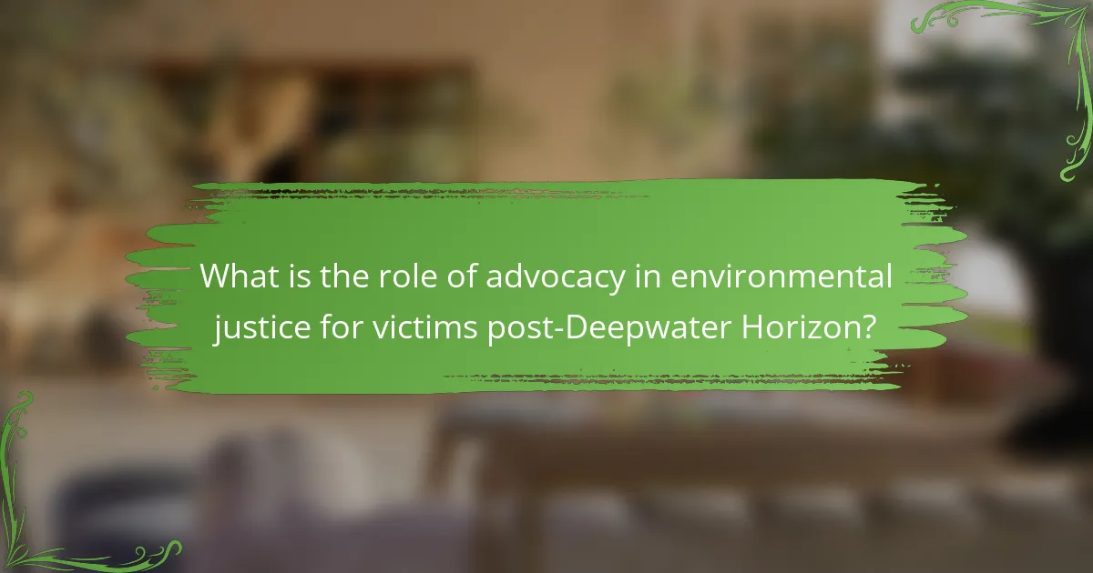What is the role of advocacy in environmental justice for victims post-Deepwater Horizon?